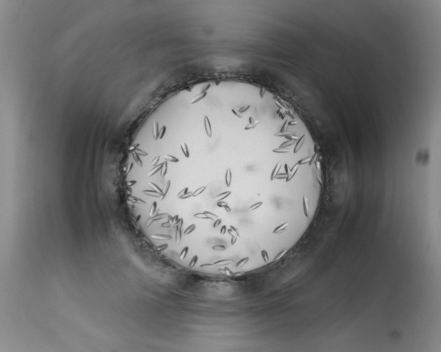 X0000113620698200910091531