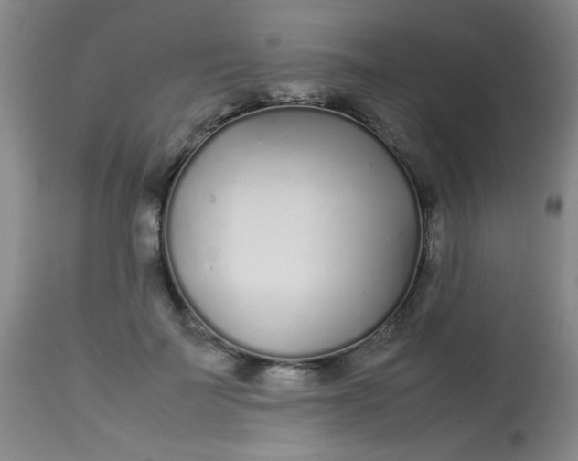 X0000113620699200910091531