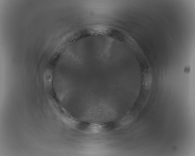 X0000113620701200910091531