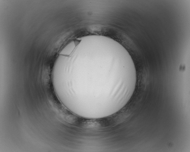 X0000113620702200910091531