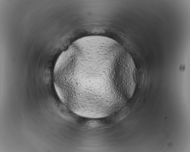 X0000113620704200910091531