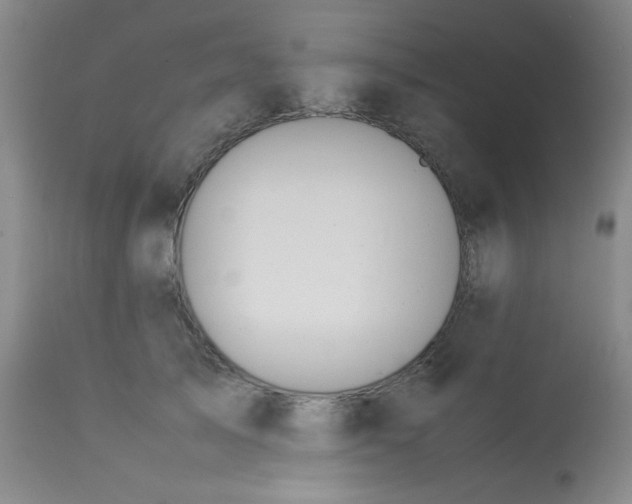 X0000113620705200910091531