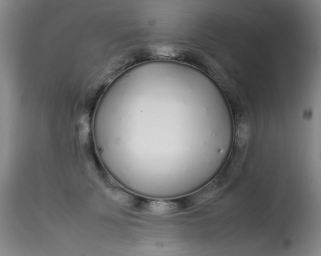 X0000113620707200910091531