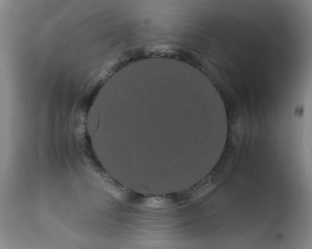 X0000113620708200910091531