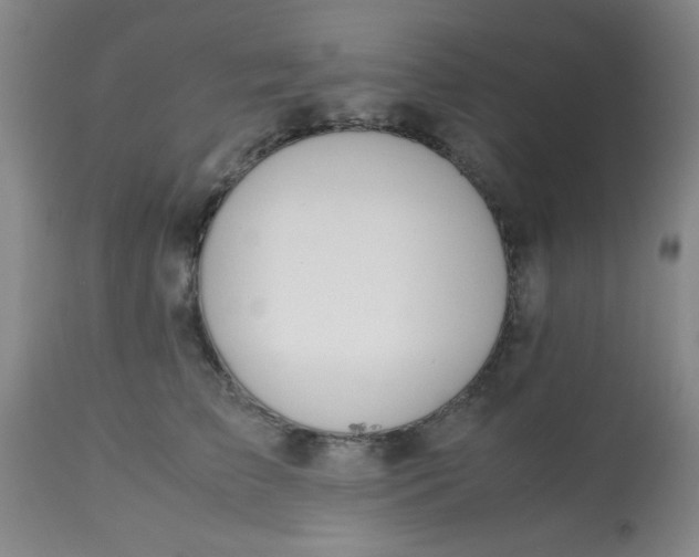 X0000113620709200910091531