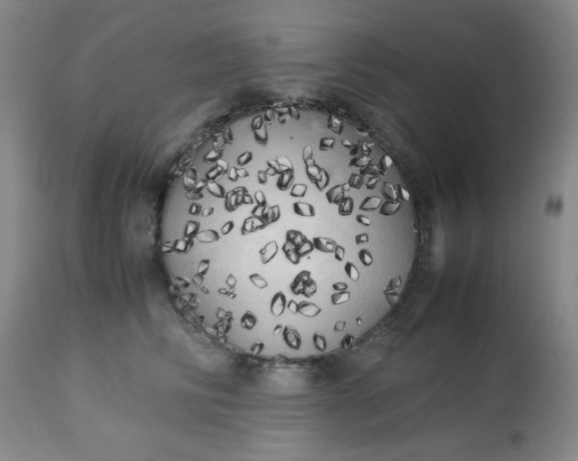 X0000113620710200910091531