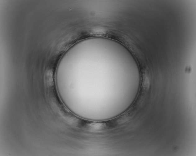 X0000113620711200910091531