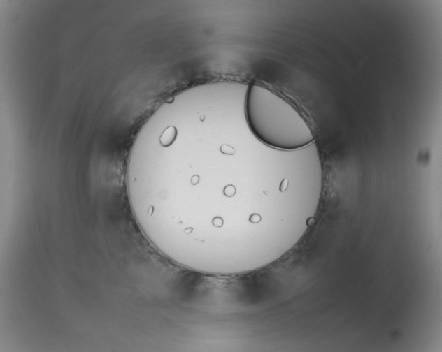 X0000113620713200910091531