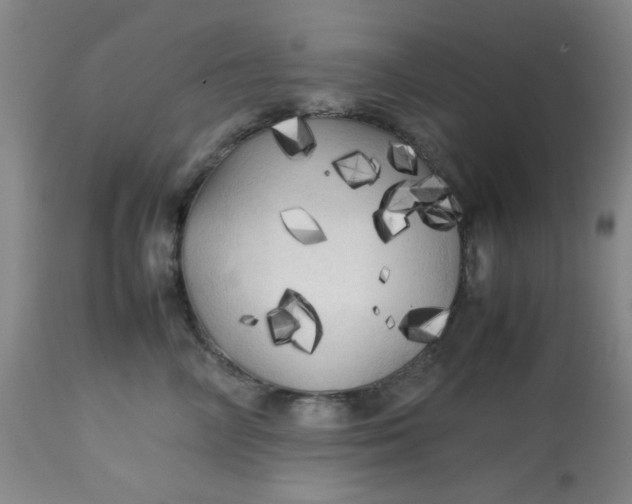 X0000113620714200910091531
