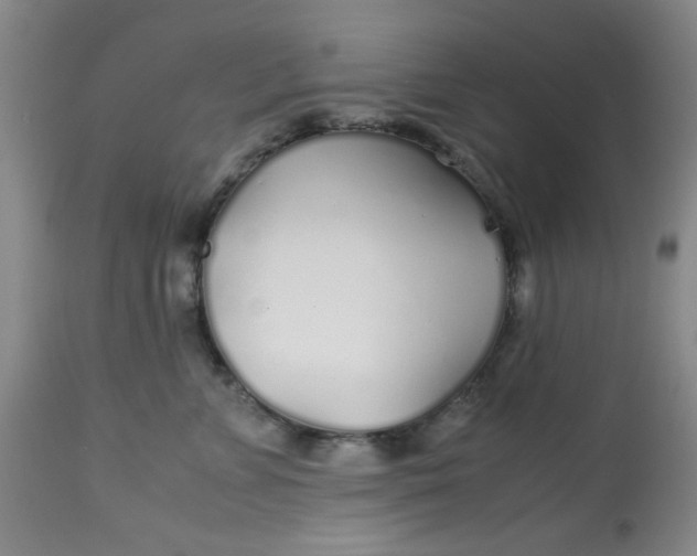 X0000113620715200910091531