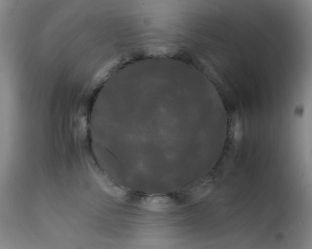 X0000113620716200910091531