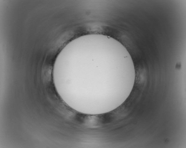 X0000113620717200910091531
