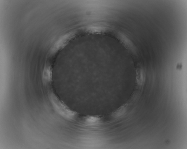 X0000113620718200910091531