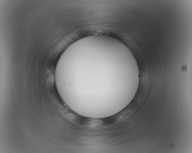 X0000113620719200910091531