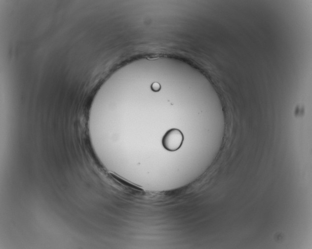 X0000113620720200910091531