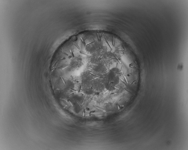 X0000113620721200910091530