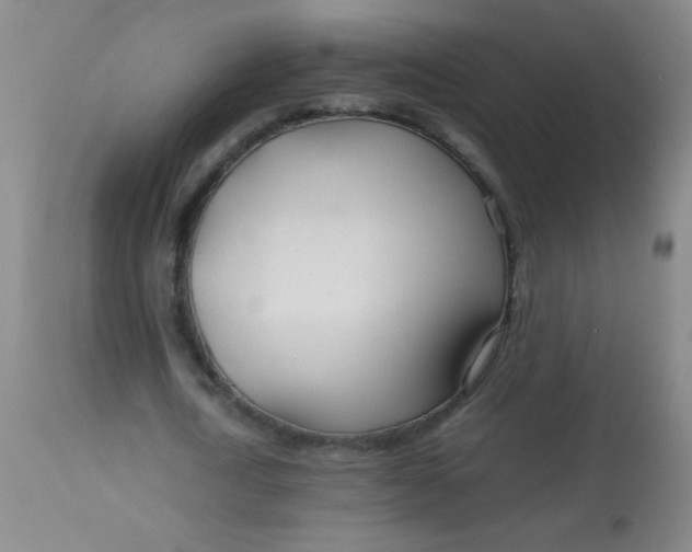 X0000113620722200910091530