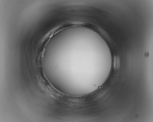 X0000113620723200910091530