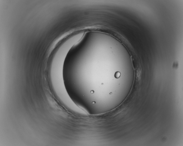 X0000113620724200910091530