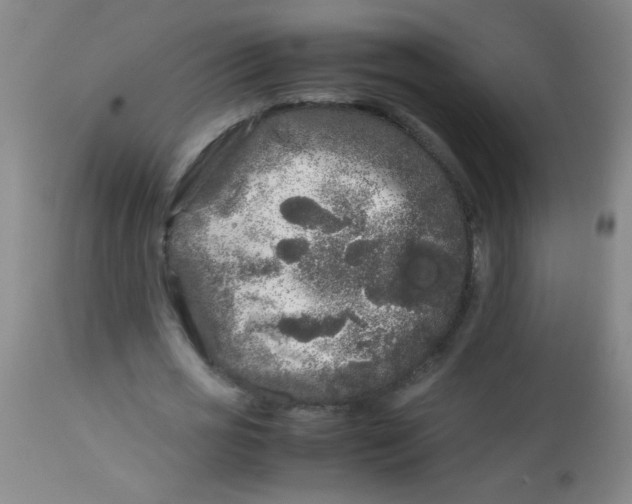 X0000113620725200910091530