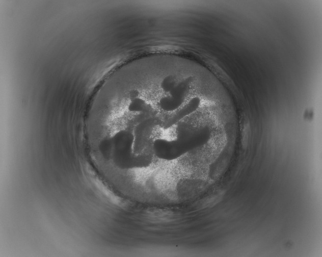 X0000113620729200910091530