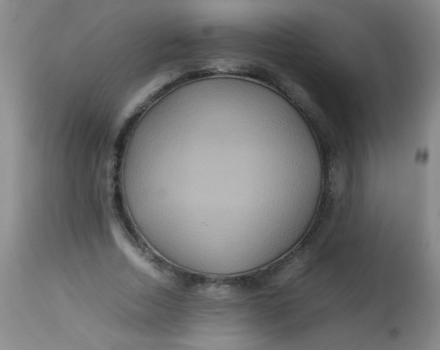 X0000113620730200910091530