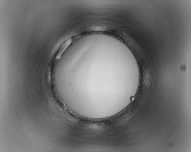 X0000113620731200910091530