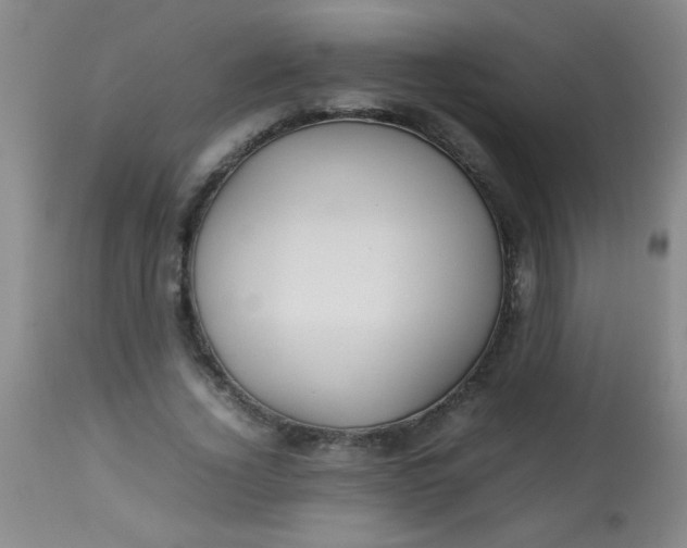 X0000113620732200910091530