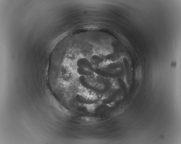 X0000113620733200910091530