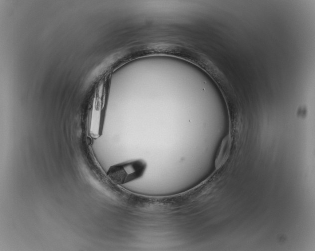 X0000113620734200910091531