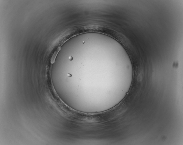X0000113620735200910091531