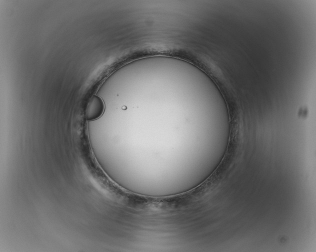 X0000113620736200910091531