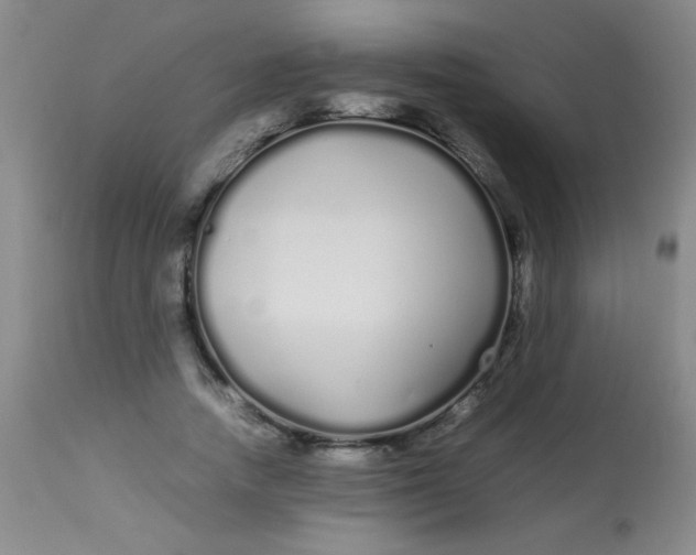 X0000113620738200910091531