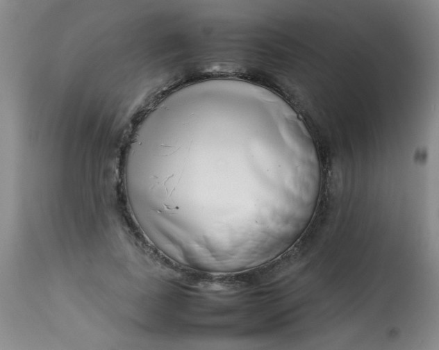 X0000113620739200910091531