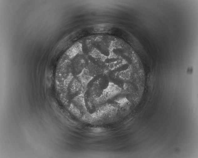 X0000113620741200910091531