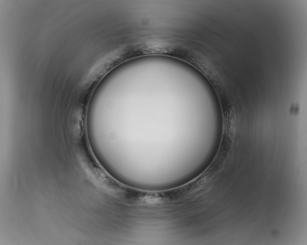 X0000113620742200910091531