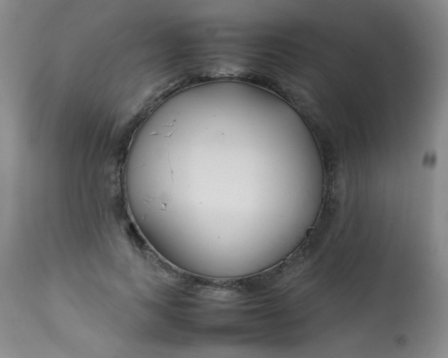 X0000113620743200910091531