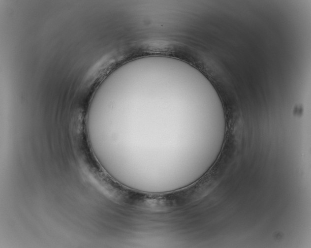 X0000113620744200910091531