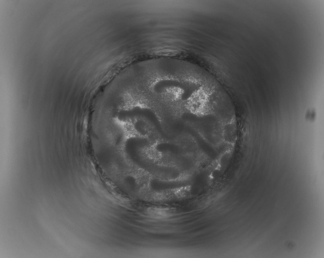 X0000113620745200910091531