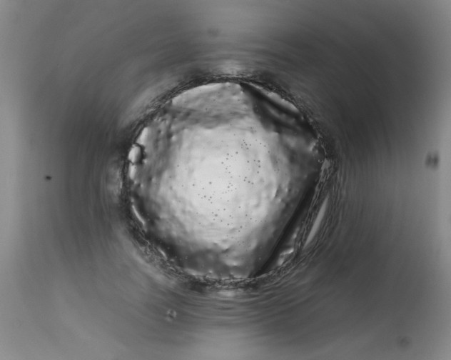 X0000113620746200910091531