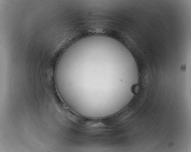 X0000113620747200910091531
