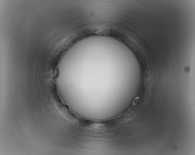 X0000113620748200910091531