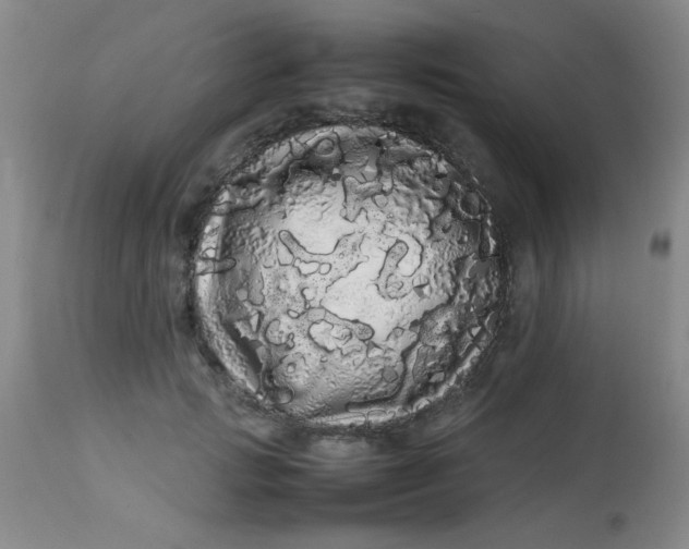 X0000113620749200910091531