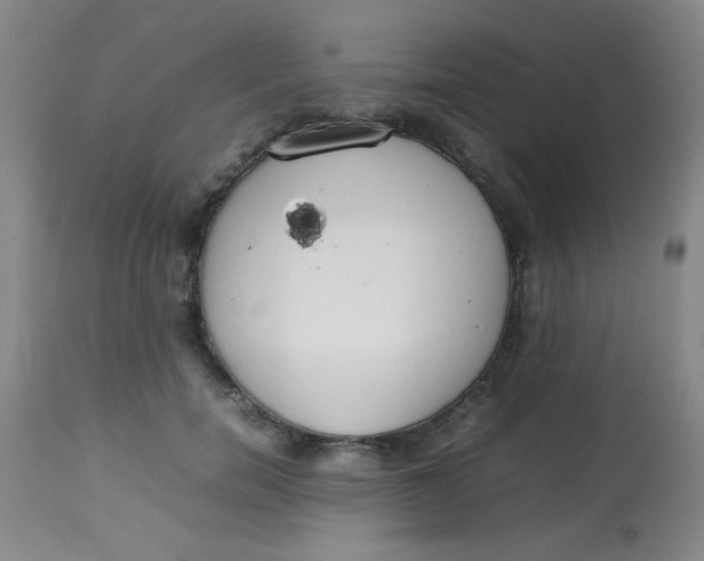 X0000113620750200910091531