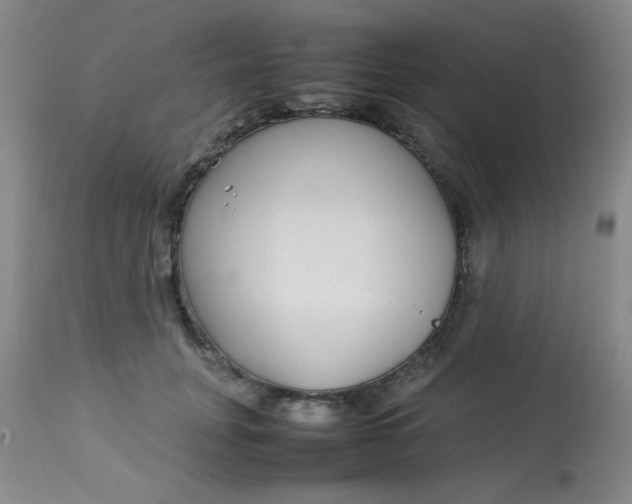 X0000113620751200910091531