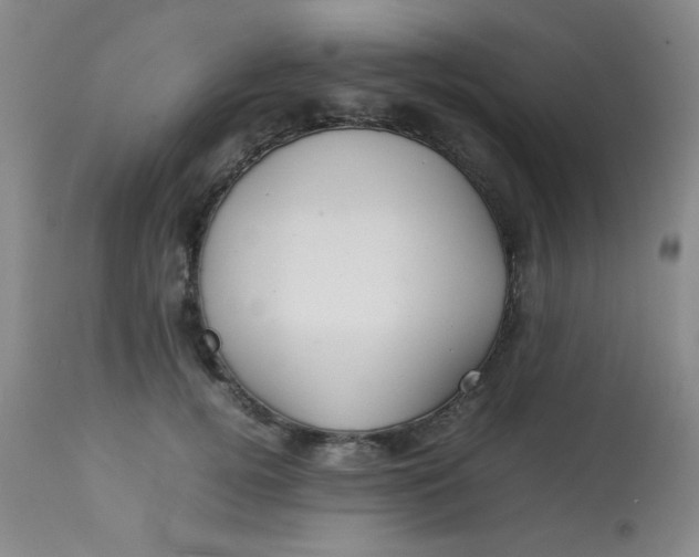X0000113620752200910091531