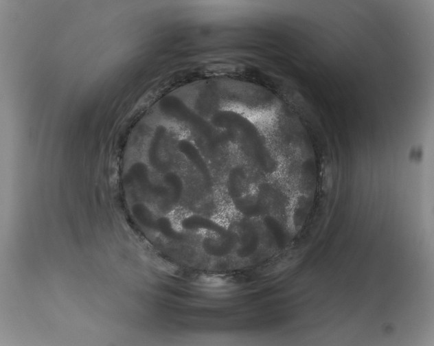X0000113620753200910091531