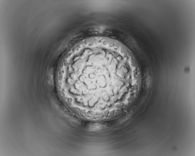 X0000113620754200910091531