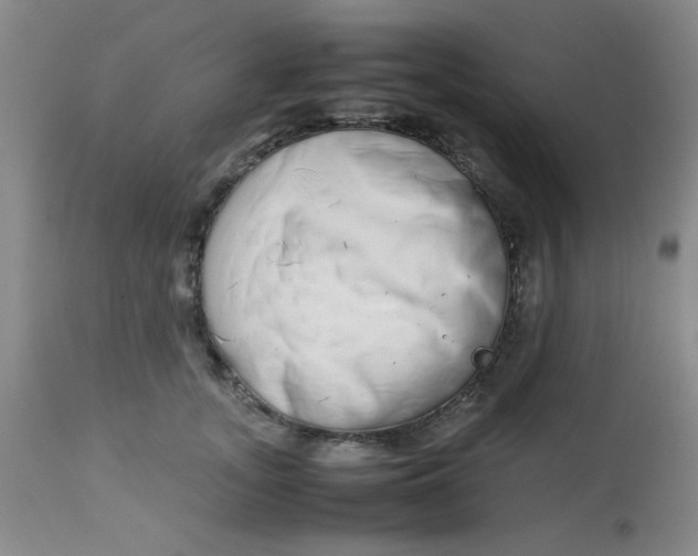 X0000113620755200910091531