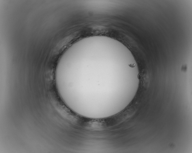 X0000113620756200910091531